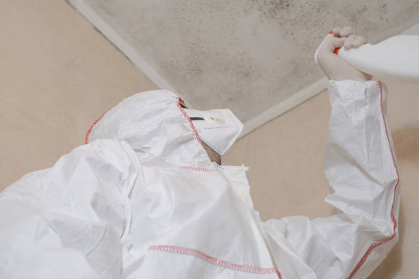 Best Forensic Mold Investigation  in Overton, TX